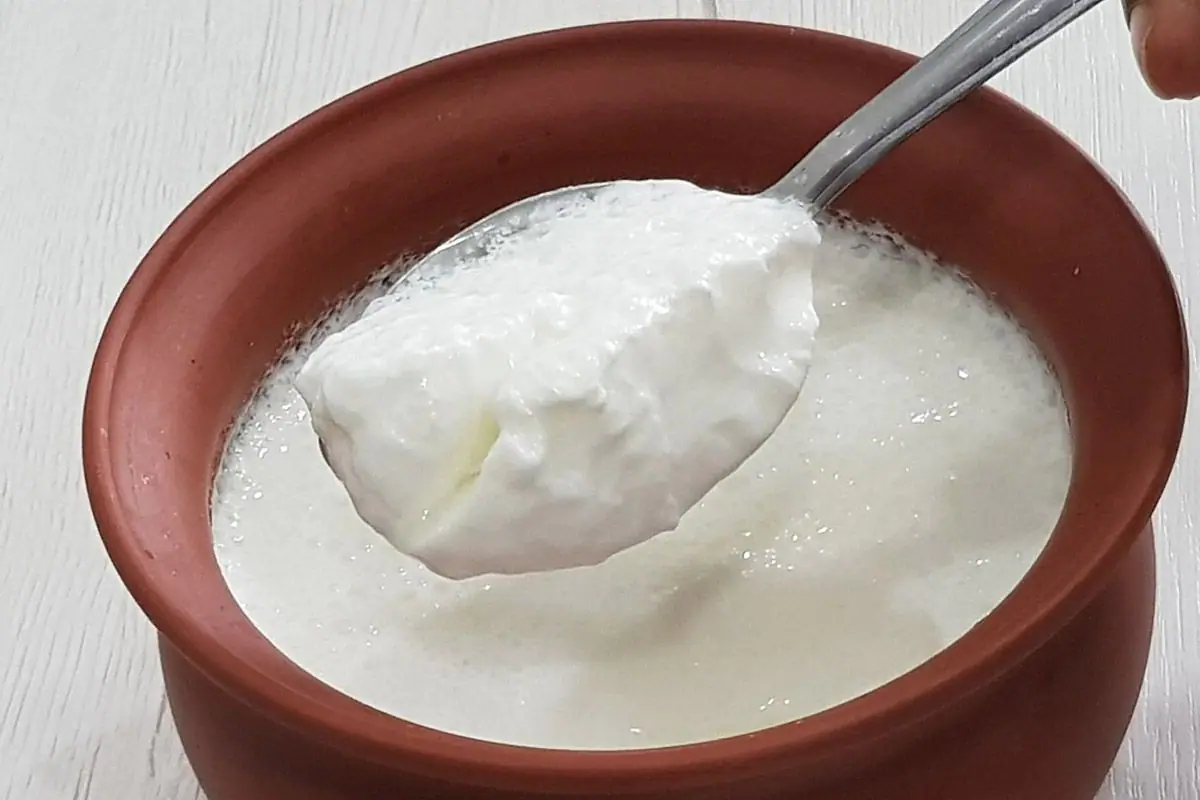 Cashew curd (Ahmedabad & Gandhinagar only)